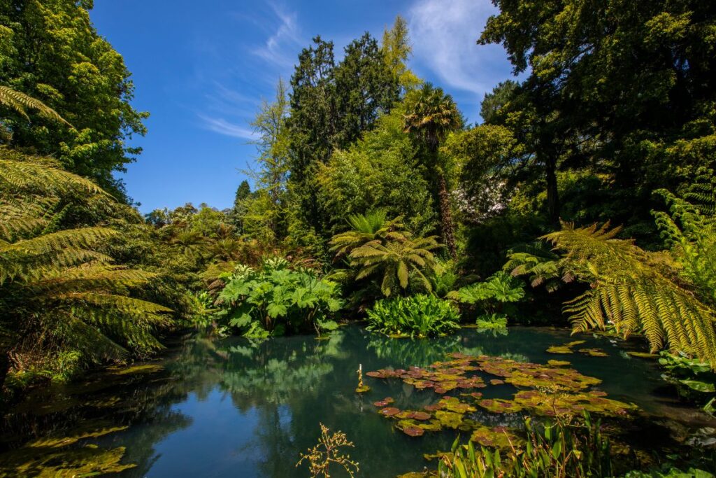 The Lost Gardens of Heligan