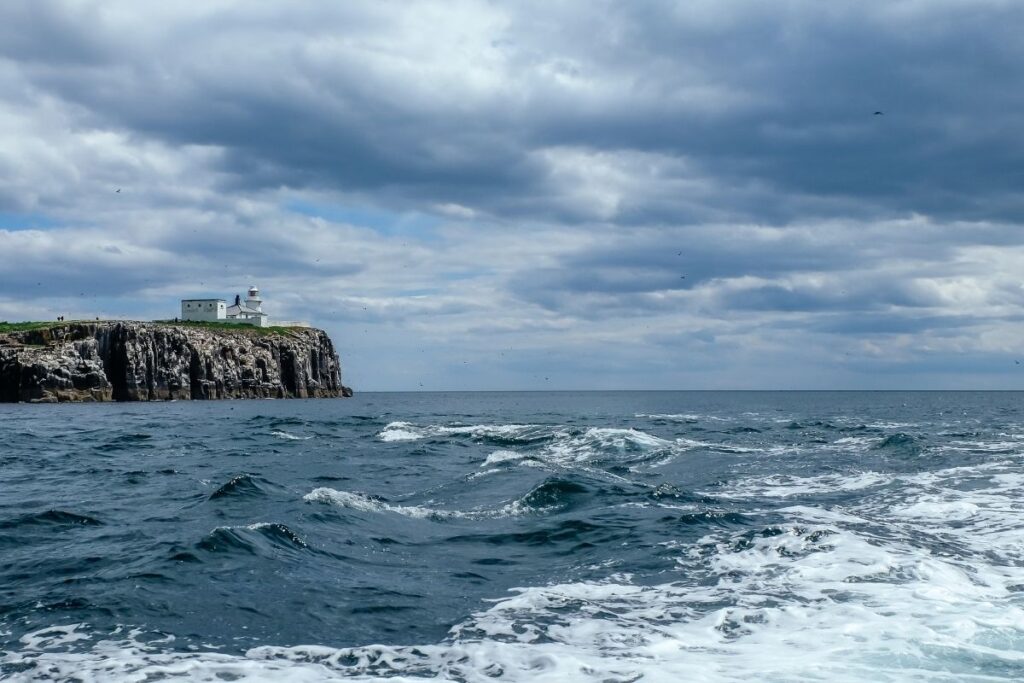 Farne Islands