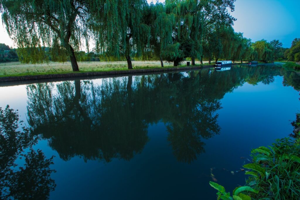River Wey Navigations