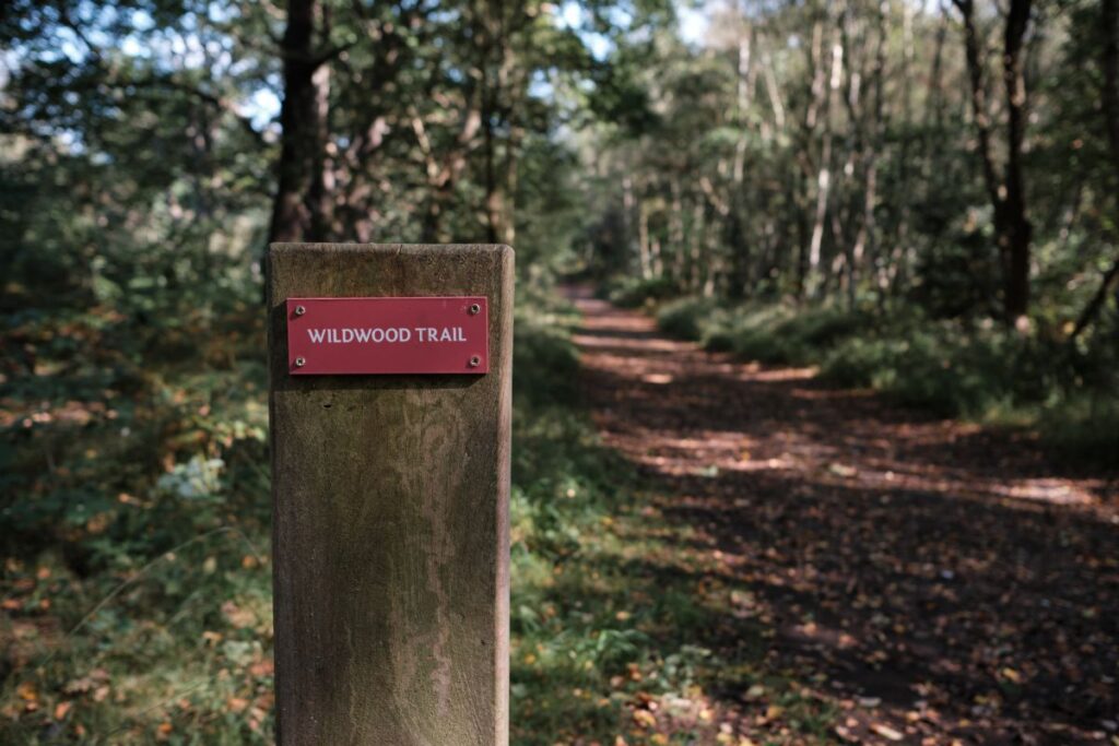 Sherwood Forest