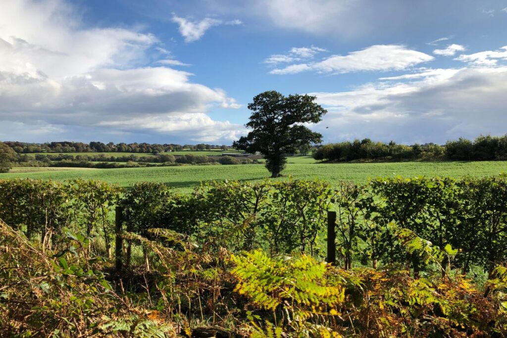 wandeling bij Ripley Castle