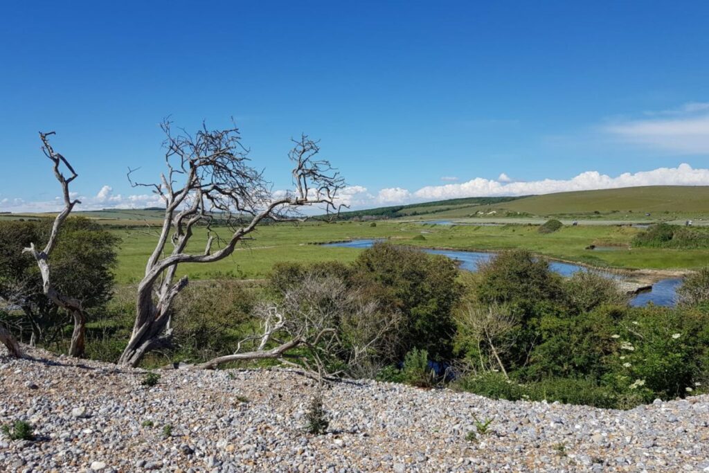 Uitzicht South Downs National Park