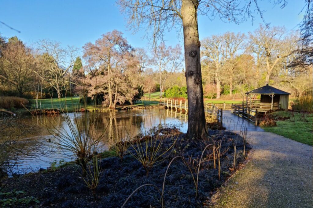 The Savill Garden