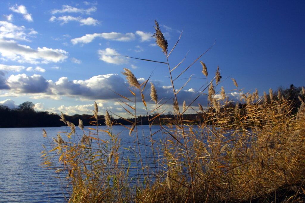 Virginia Water Lake