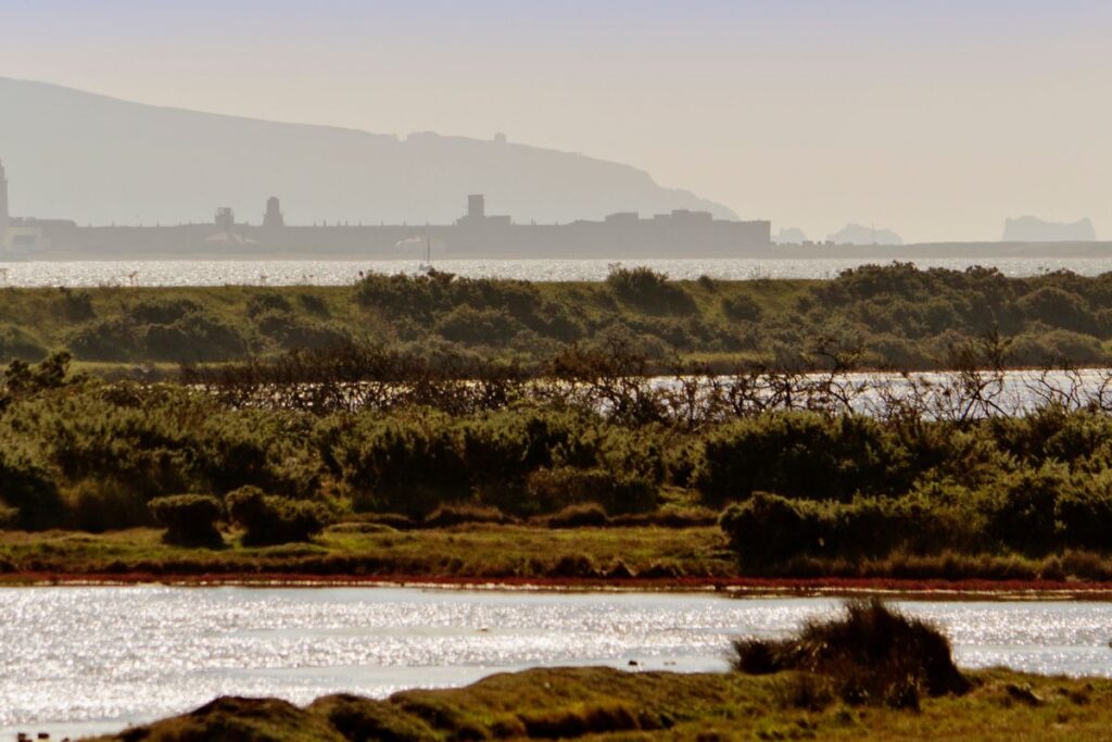 Lymington natuur reservaat
