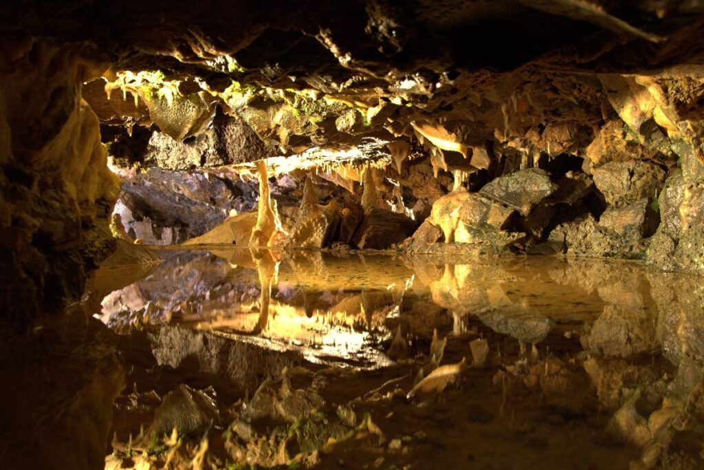 Gough's Cave