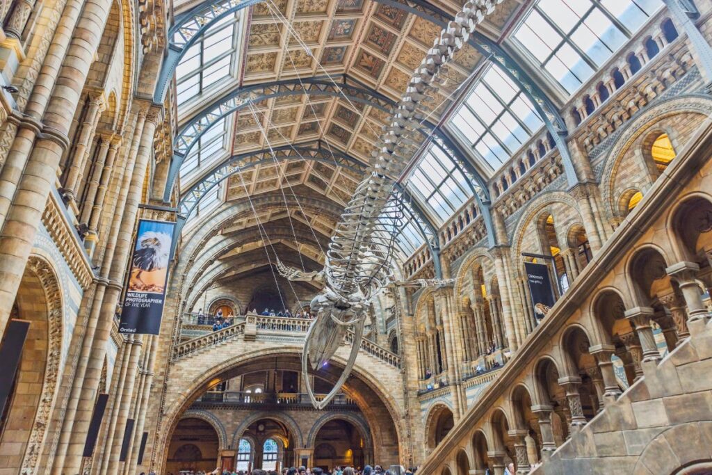 Binnenin het Natural History Museum